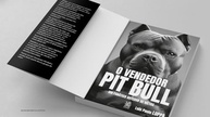 O Vendedor Pit Bull: Domine as Vendas e Supere Metas com Autoridade - imagem 5