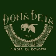 Mel Puro de Eucalipto 450g Mel Abelha 100% Natural Dona Beia - imagem 2
