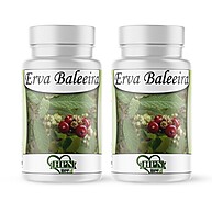 Baleeira Erva Medicinal – Alívio Natural para Reumatismo e Dores - imagem 1
