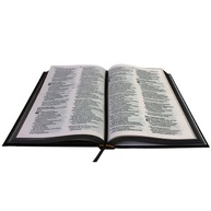 Bíblia NAA: Edição Jovem, Capa Dura e Cruz Dourada - imagem 2