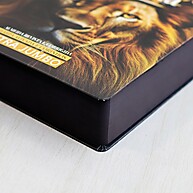 Bíblia ARC Jumbo: Harpa e Corinhos + Capa Dura - imagem 2