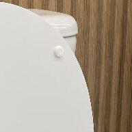 Assento Sanitário Laqueado: Conforto e Durabilidade - imagem 1
