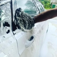 Lava Autos Vonixx 5L: Limpeza Profissional e Proteção Duradoura para Seu Veículo - imagem 4