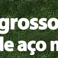 Disco 20 Dentes p/ Roçadeira – Corte Potente e Durável - imagem 1