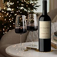 dv-6-cabernet-catena-argentinos-vinhos-malbec