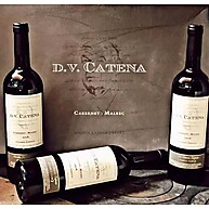 dv-malbec-argentinos-catena-6-cabernet-vinhos