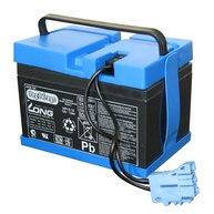 Bateria 12V 12AH para Mini Carros e Quadriciclos Elétricos Peg-Pérego - Potência e Durabilidade Burigotto - imagem 1
