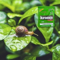 Lesmicida Caramujo Karamujo 30gr Pronto Uso Gramado e Jardim - imagem 2