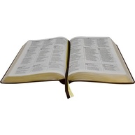 e-compreensao-biblia-profunda-a-portugues-espanhol-ingles-em-trilingue-naaesvrvc-a