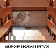 Cerca Pet Removível com Tela de Proteção 122x78 cm - Segurança Leve e Prática para Cães e Crianças - imagem 5