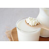 Kefir de Leite: Mudas Frescas e Originais - imagem 1