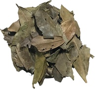 Jaborandi 500Gr (Ervas e Talos) - imagem 1
