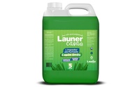Launer Casa Limpador Perfumado Capim Limão 5L - Secagem Rápida e Fragrância Duradoura - imagem 1