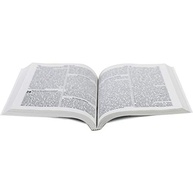 e-grande-clara-confortavel-testamento-letra-novo-ntlh-leitura-a