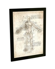 Quadro Decorativo Corpo Humano - Estudo Médico e Biológico para Decoração Moderna - imagem 1