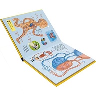 e-o-o-criancas-corpo-livros-combo-com-com-humano-explore-espaco-a-abas-a