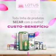 Desumidificador Secar Original com Fragrância de Alecrim - Combate Umidade e Mofo com Aroma Refrescante - imagem 2