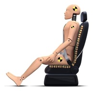 Massageador Ortopédico de Bolinhas de Madeira: Conforto e Alívio para suas Costas no Carro! - imagem 3