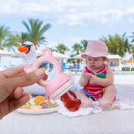 Porta Fruta Chupeta em Silicone BPA-Free Rosa - Segura e Saudável para Bebês a Partir de 6 Meses - imagem 1
