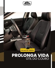 e-protecao-brilho-hidrata-bolsas-a-limpa-para-seus-bancos-e-proauto-e-couro-a