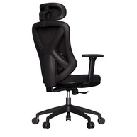 Cadeira Ergonômica Premium Rasala com Apoio Lombar, Encosto Ajustável e Reclino – Conforto Executivo para Home Office - imagem 2