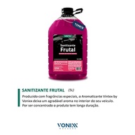 Sanitizante Aromatizante Vintex Frutal 5L: Frescor e Proteção para Seu Carro e Casa - imagem 3
