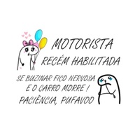 e-seguranca-a-recem-habilitada-confianca-com-motorista-adesivo-dirija-a