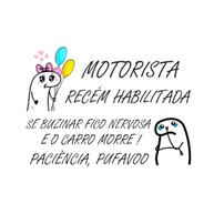 e-seguranca-confianca-adesivo-a-motorista-recem-dirija-com-habilitada-a