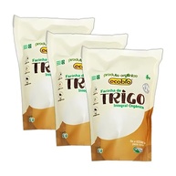 Kit 3X: Farinha de Trigo Integral Orgânica Ecobio 500g - imagem 2