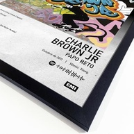 Quadro Spotify Álbum Papo Reto Charlie Brown Jr - 33x43cm - Arte Musical com Moldura Ecológica - imagem 4
