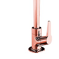 Torneira Rose Gold Lorenzetti: Design & Economia - imagem 2