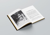 O Livro dos 5 Anéis Edição de Luxo Almofadada: Domine a Estratégia e a Superação - imagem 5