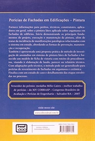 Perícias de Fachadas em Edificações: Guia Completo de Pintura e Recuperação - imagem 3