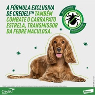 Credeli Antipulgas Cães: Proteção Rápida e Eficaz! - imagem 2