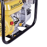 Motobomba Autoescorvante Buffalo 7cv: Potência e Eficiência - imagem 2