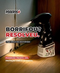 Inseticida Poderoso Pronto Uso 500ml - Elimine Pragas com Eficiência e Segurança - imagem 5