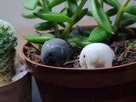 Kit Mini Elefante de Resina Branco e Cinza | Decoração Fofa e Significativa - imagem 2