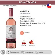 elegancia-rose-750ml-refrescante-vinho-santa-loreto-chileno