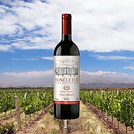 elegancia-sabor-frances-toneletce-750ml-vinho-e-tinto