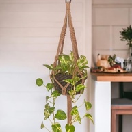 Suporte de Corda Macramê 70 cm para Vasos de Plantas - Bege | Decoração Elegante e Sustentável - imagem 3