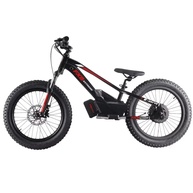 Bike Elétrica 2025: Aventura Off-Road! - imagem 3