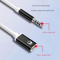 Cabo Adaptador P2 (3.5mm) para Tipo C GANPUB: Som Analógico em Dispositivos Modernos - imagem 3