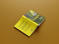 em-crise-esperanca-climatica-mundo-a-um-busca-a-em-eleuteria-por-a