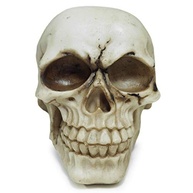 em-decoracao-resina-colecao-realista-marfim-cranio-tematica-caveira-a-e-a