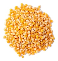 Tempero Caldo De Galinha Em Pó Produto Premium 500g - imagem 2