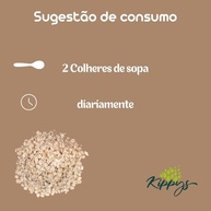 Aveia em Flocos grossos - SEM GLÚTEN - livre de contaminação cruzada - 500g - imagem 4