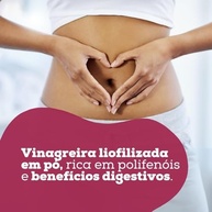Vinagreira liofilizada em pó Horta da Terra 25g - imagem 3