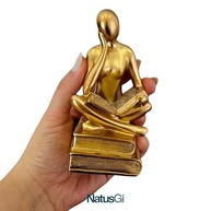 em-ou-em-escritorio-estilo-e-dourada-inspire-leitor-a-resina-decorativa-estatua-casa-cultura-pensador-a