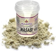 Wasabi Em Pó Raiz Forte Pote Mundialho 45g - imagem 1
