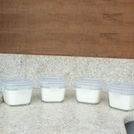 Clingo Kit 4 Potes Herméticos em Vidro - Segurança e Praticidade para Alimentação Infantil - imagem 4